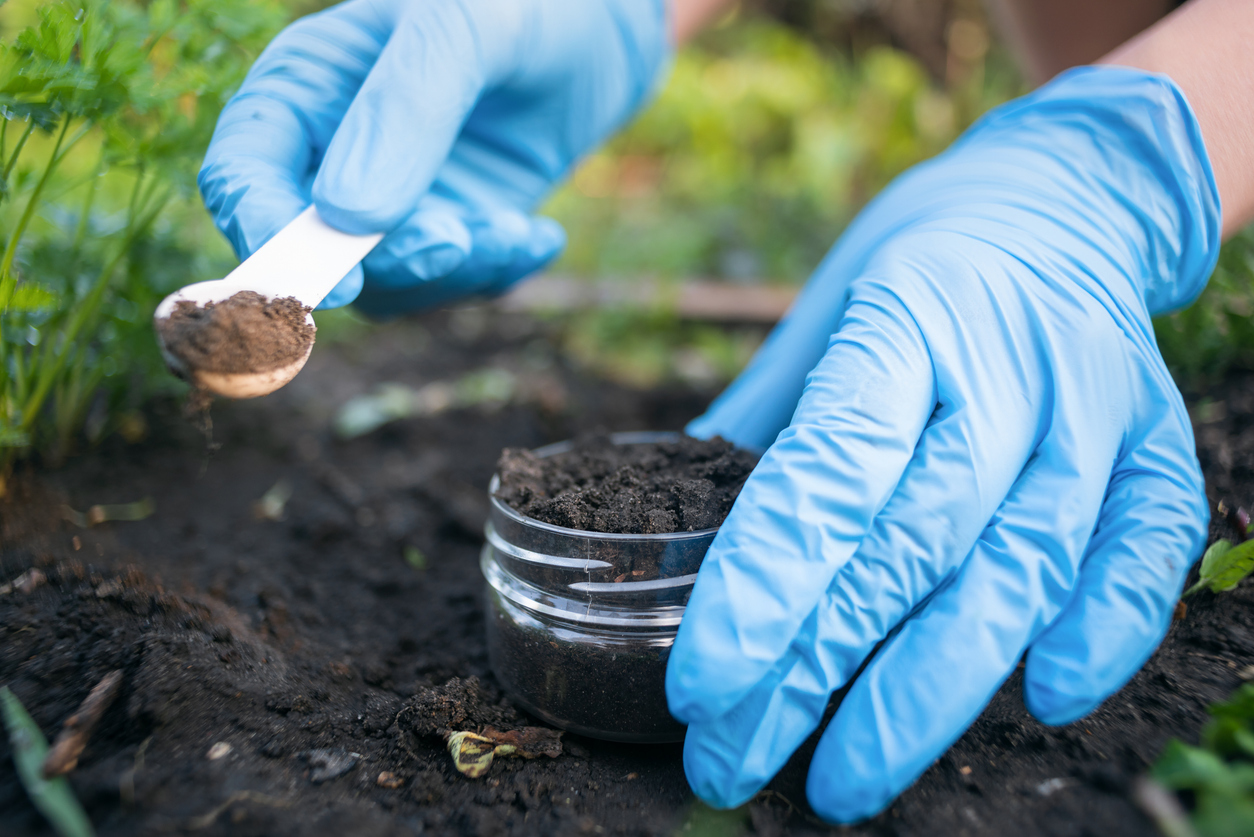 Scientist takes a soil sample.
