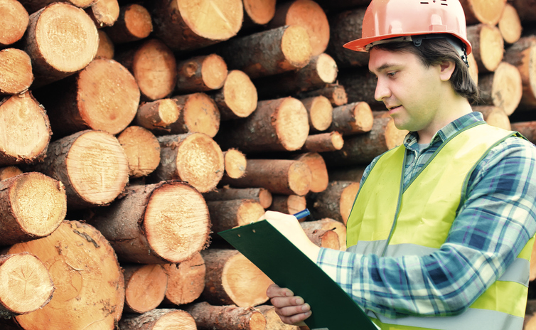Working construction foreman in his place considering wood materials and work plan holding a clip board.

