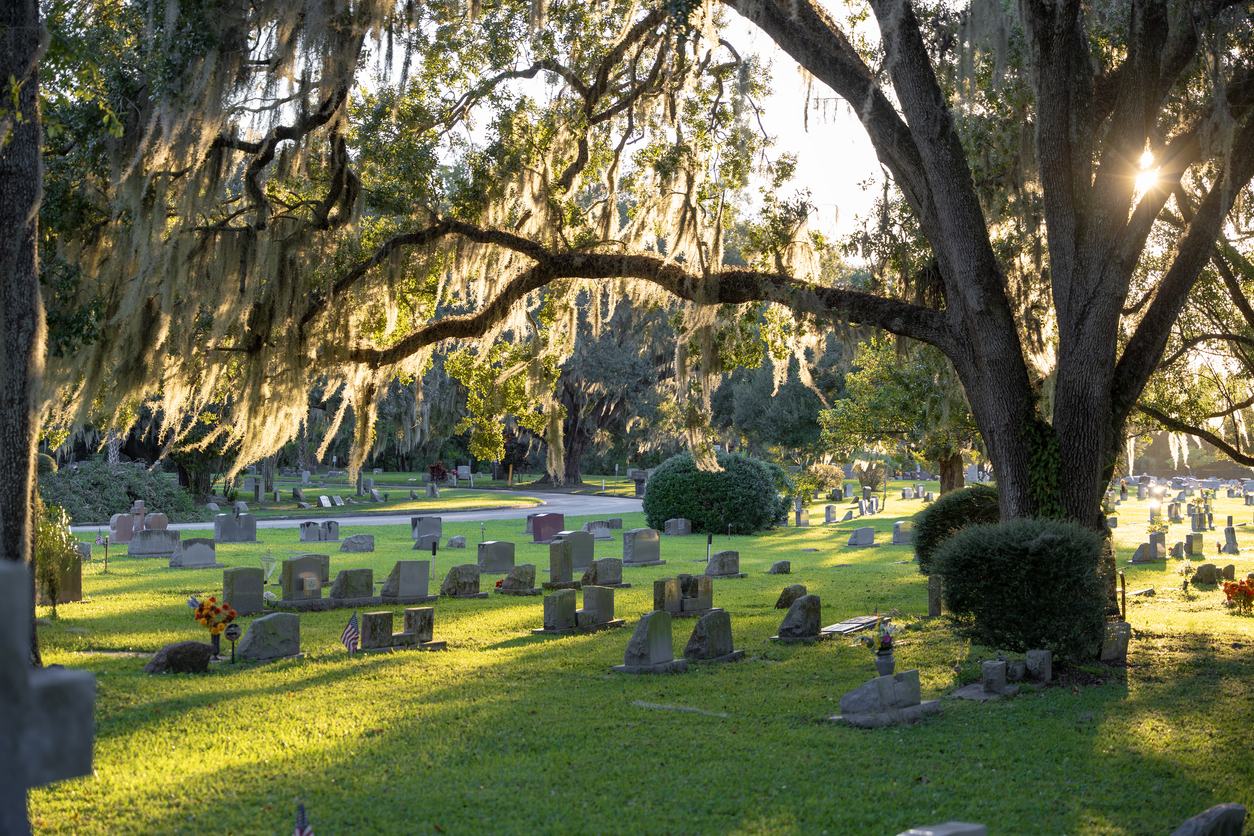 Old cemetery with grave stones under oak trees on green grass lawn. 

