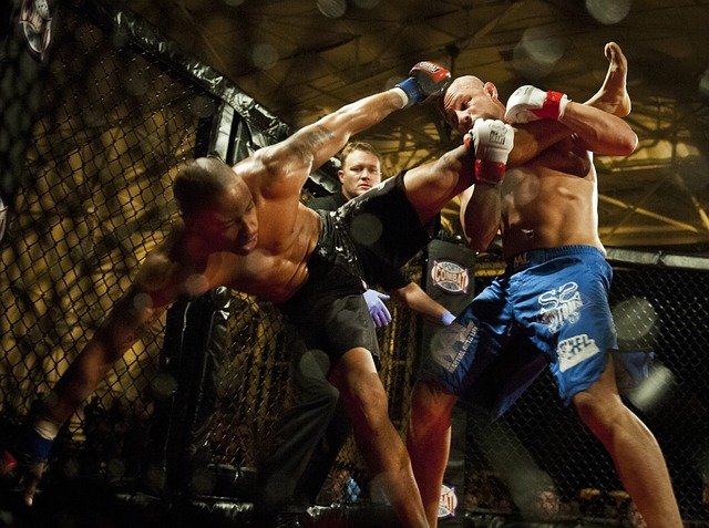 Two unarmed combat sports contestants are sparring as a referee looks on. 